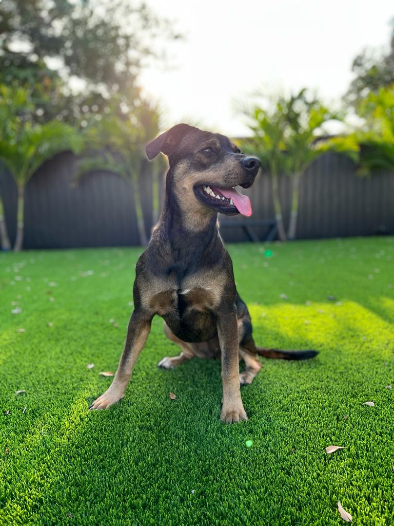 The mist over the mountains