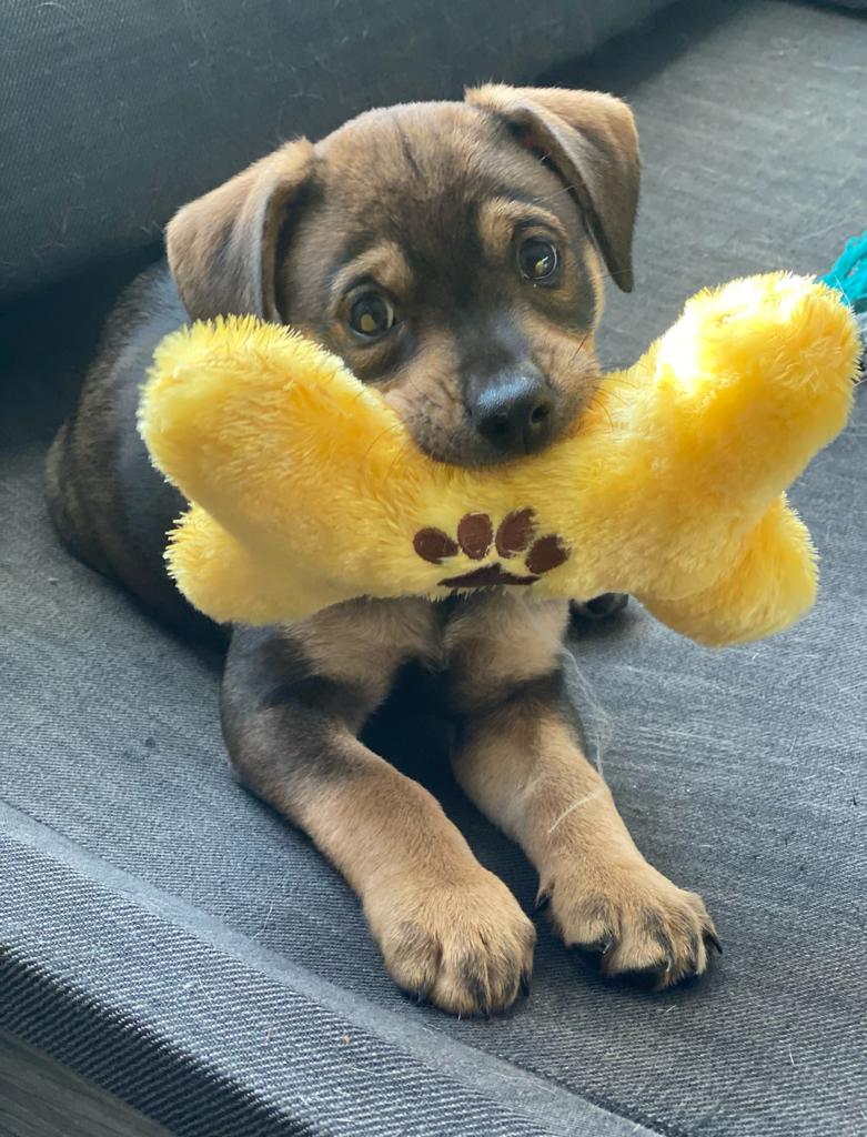 My beloved typewriter